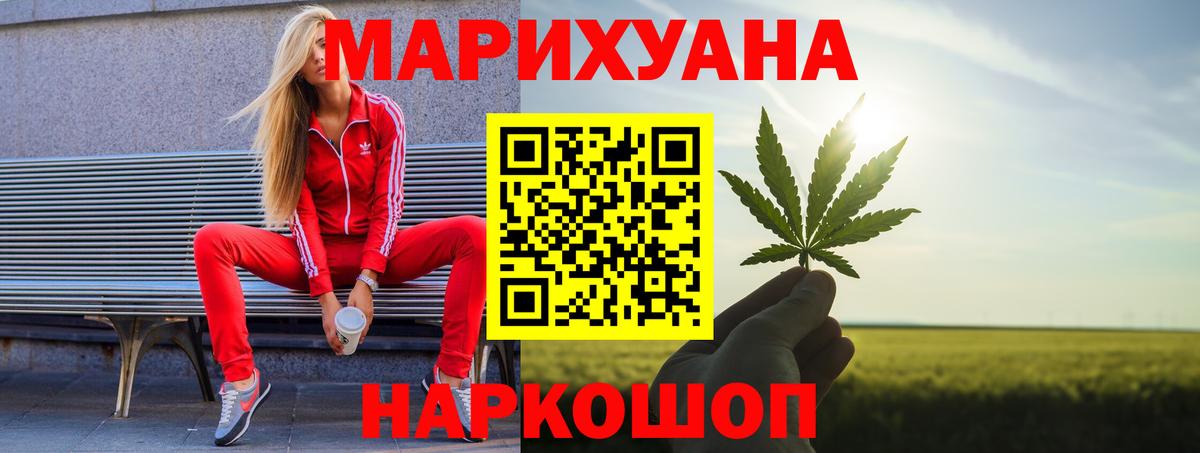 Каннабис OG Kush Павлово